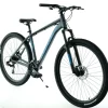 Rower górski MTB 29 kands ENERGY 700